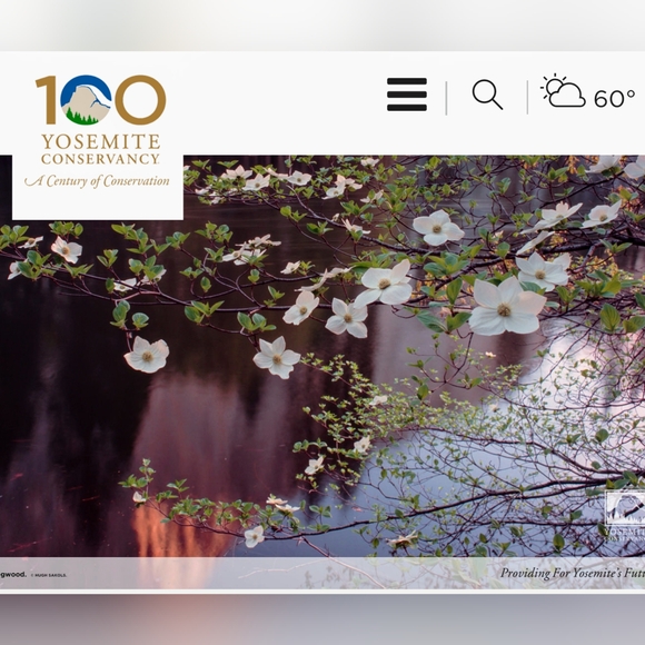 Yosemite National Park Glass Plate Dish Ahwahnee Dogwood Blossoms Square Pink - Picture 4 of 15